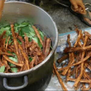 Ayahuasca Preparation