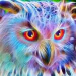 Marosa healiing plant